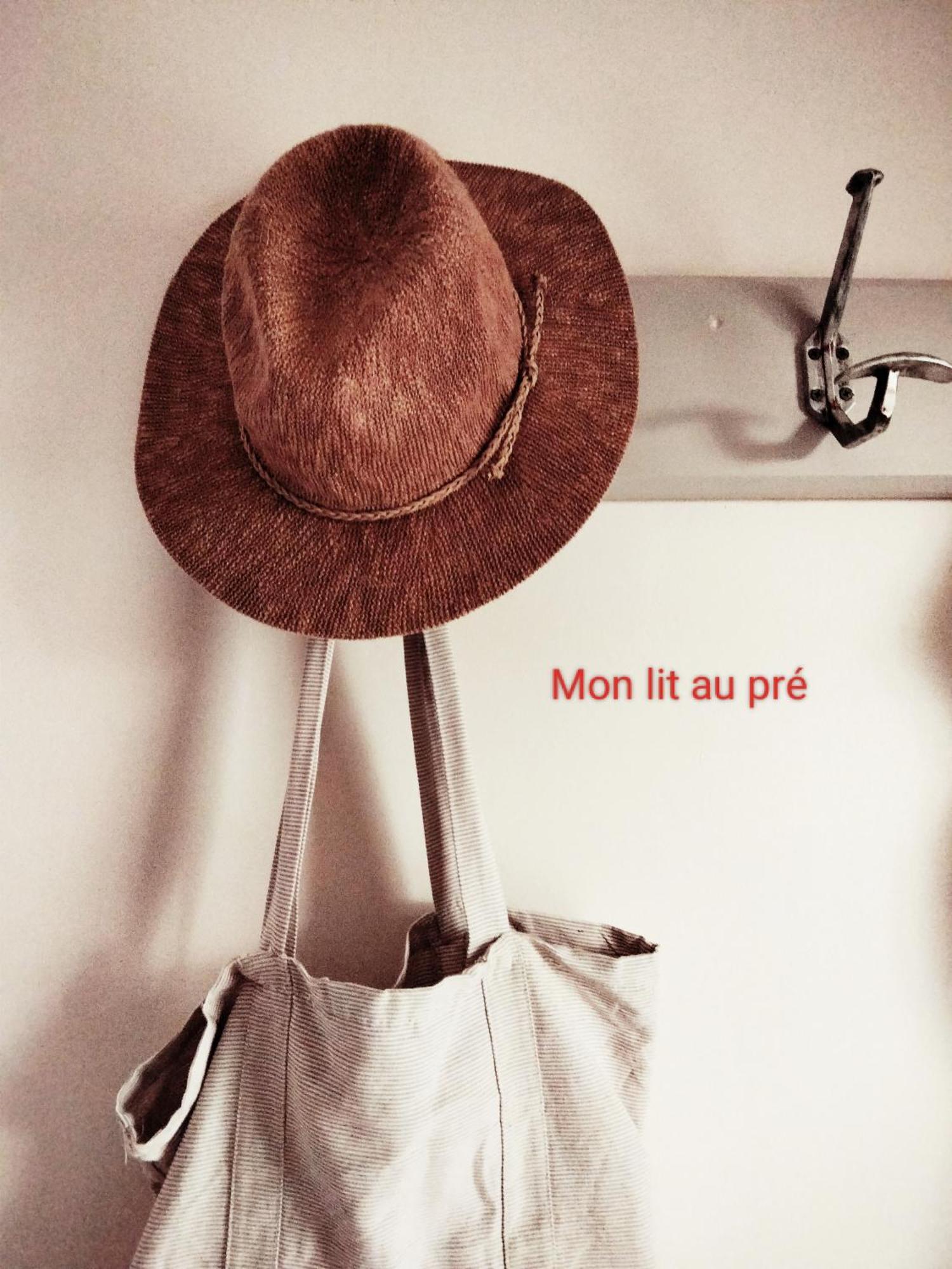 Chambre Familiale Anna "Mon Lit Au Pre" , Jusqu'A 4 Adultes Et 2 Enfants Avec Piscine Familles, Couples Ou Femmes Seulement Pontours Ngoại thất bức ảnh